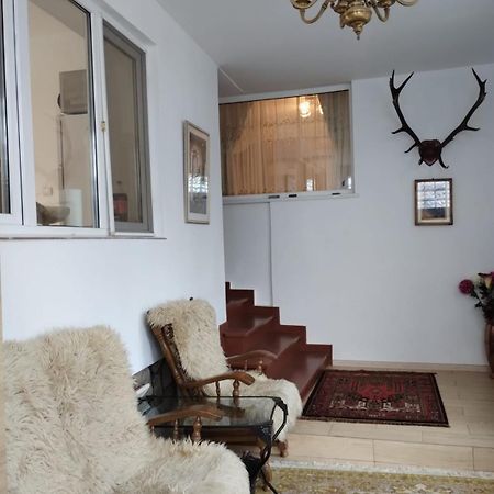 Villa Bucegi View Buşteni Exterior foto